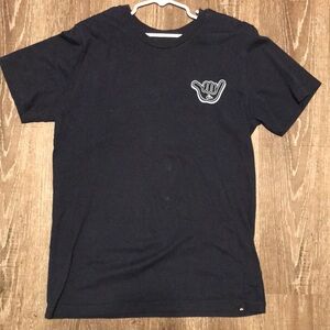 Boys Quicksilver from Hawaii